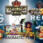 wildzclub slot